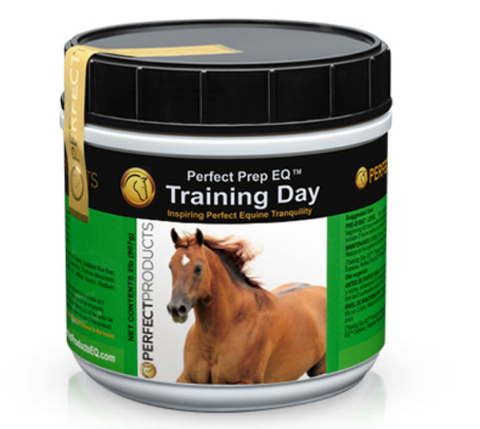 Perfect Prep EQ Training Day Powder