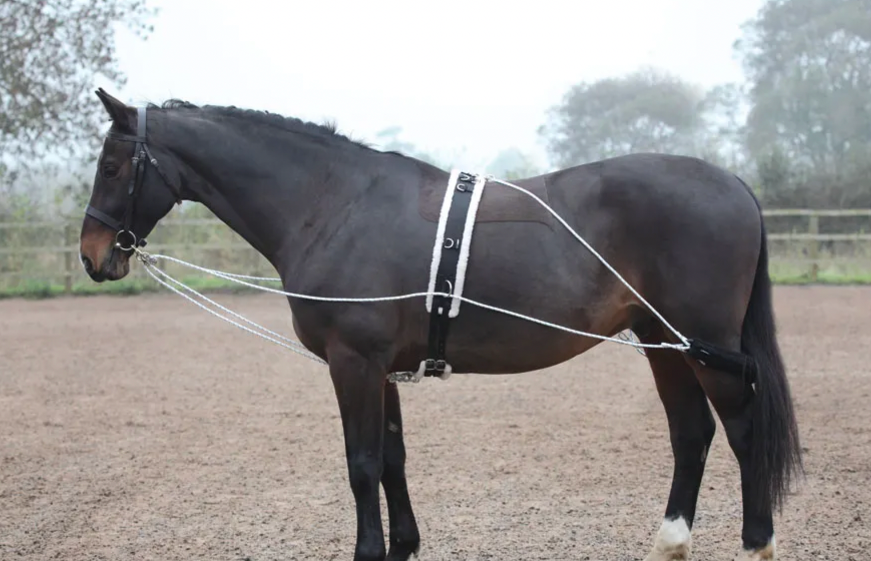 Shires Lunging Aid