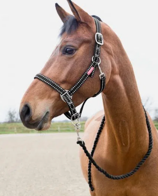 Horze Cooper Halter with Lead Rope Set