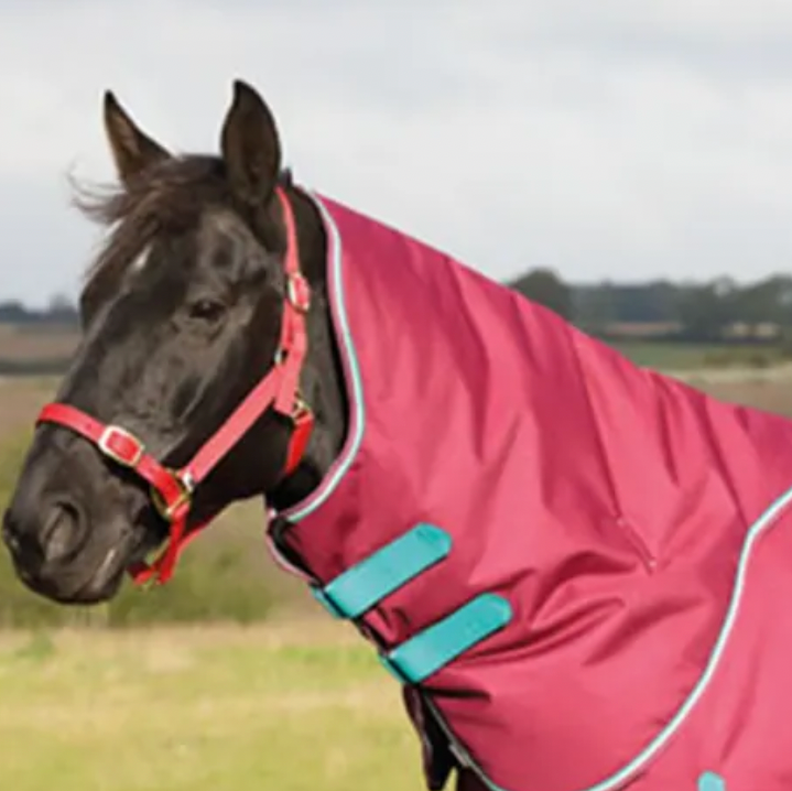 Highlander Plus 300g Neck Covers