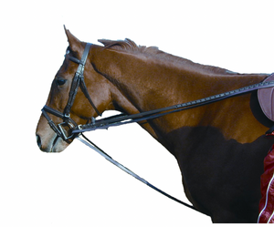 Leather Draw Reins With Snap Attachment