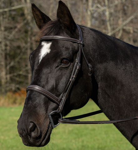 Henri de Rivel Pro Mono Crown Bridle with Padded Wide Noseband with Laced Reins