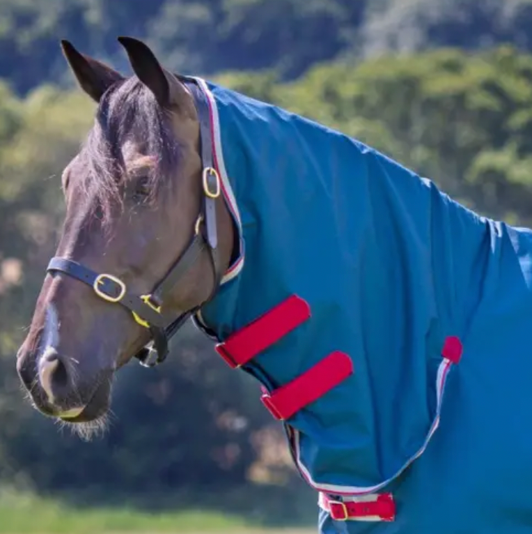 Shires Tempest Original Lite Neck Cover - Teal