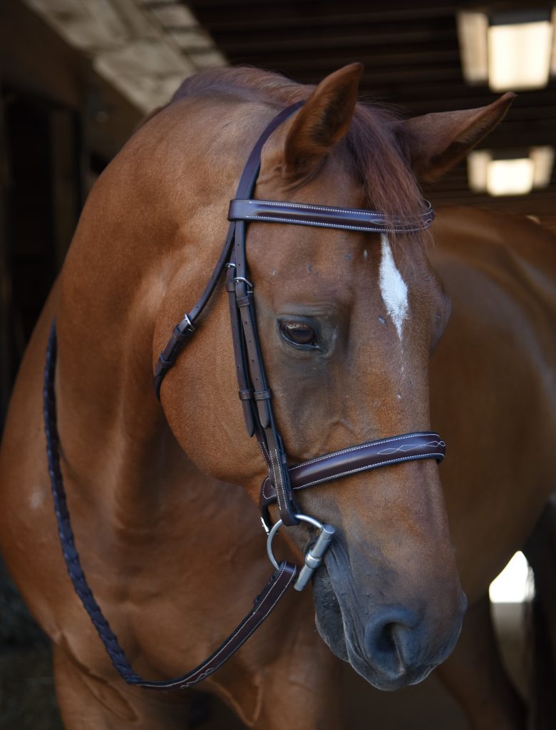 Black Oak "Poppy" Bridle