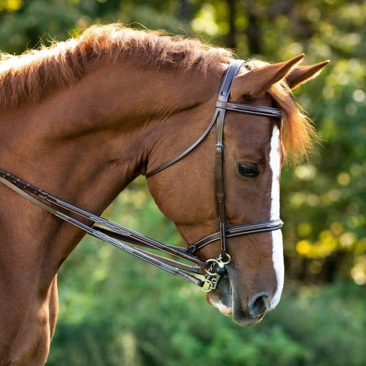 Red Barn Fancy Stitched Pelham Reins